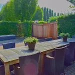 In Near Het Alphen (North Brabant)